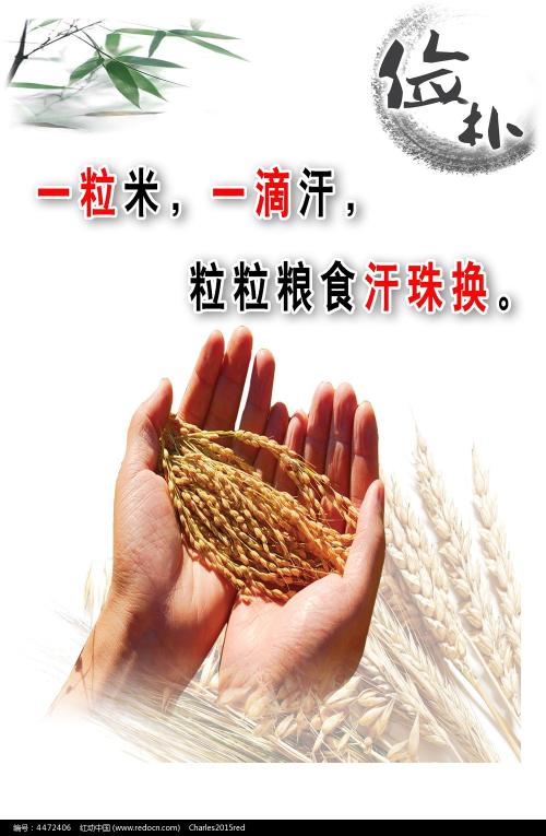 国立资讯科技机械与光学大学社会学文凭证书